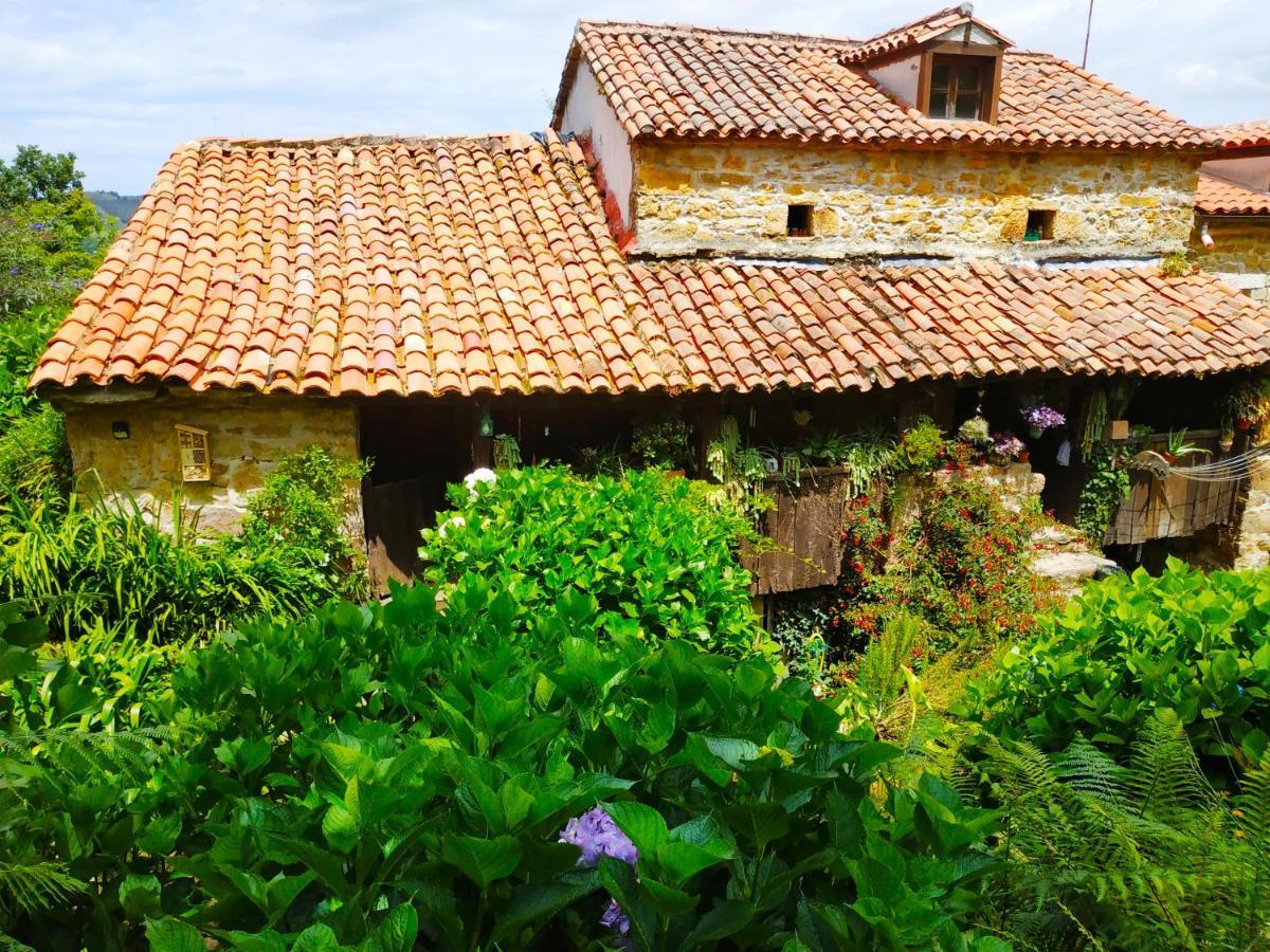 Apartamento En Plena Naturaleza La Cavada Exterior photo